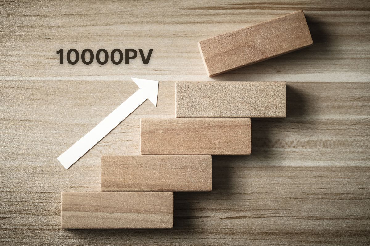 WordPress ブログ初心者がアクセス数を増やす具体的な方法 | セオリコ